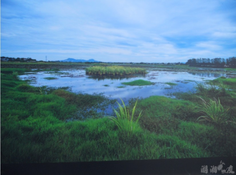 QQ��ͼ20131026163341.jpg