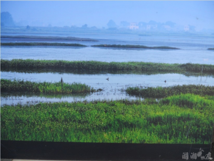 QQ��ͼ20131026163332.jpg
