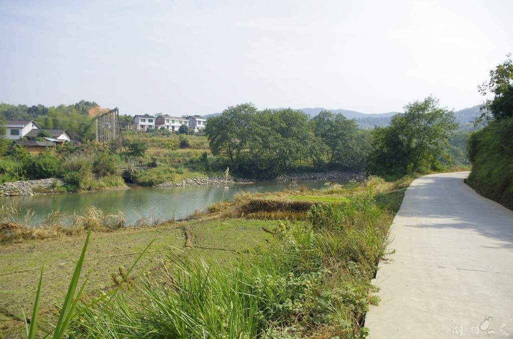 conew__igp0776.jpg