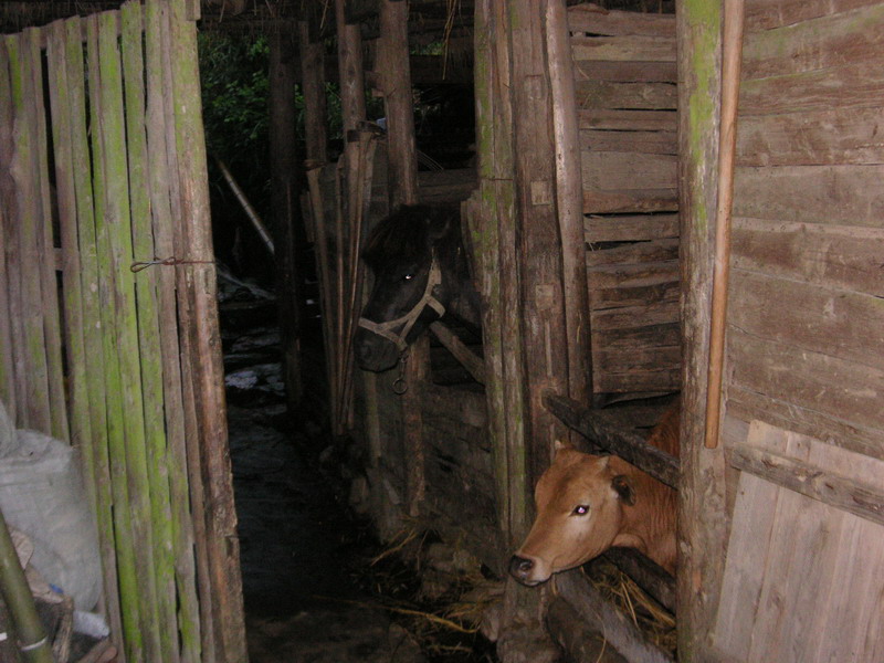 2006591563031039.JPG