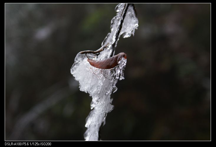 nEO_IMG_DSC06353.jpg