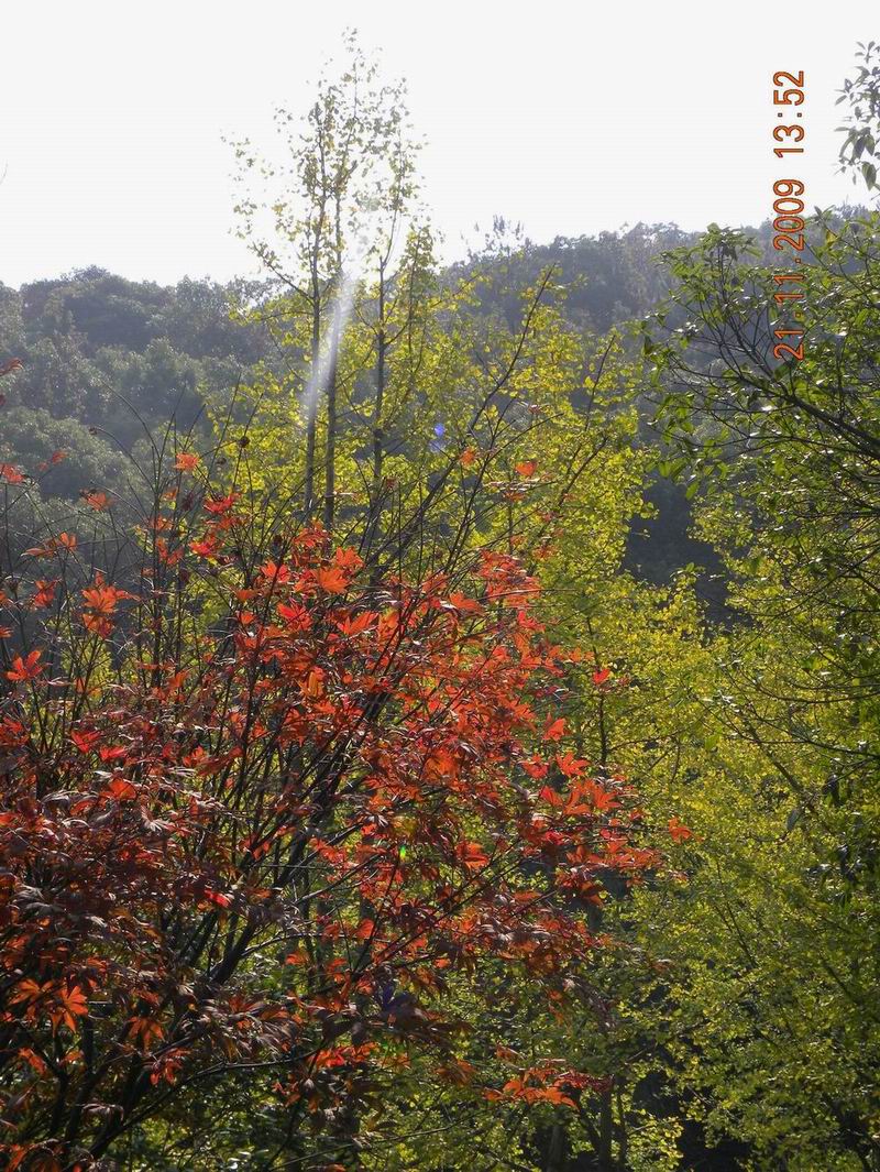 ��Ƭ 031.jpg