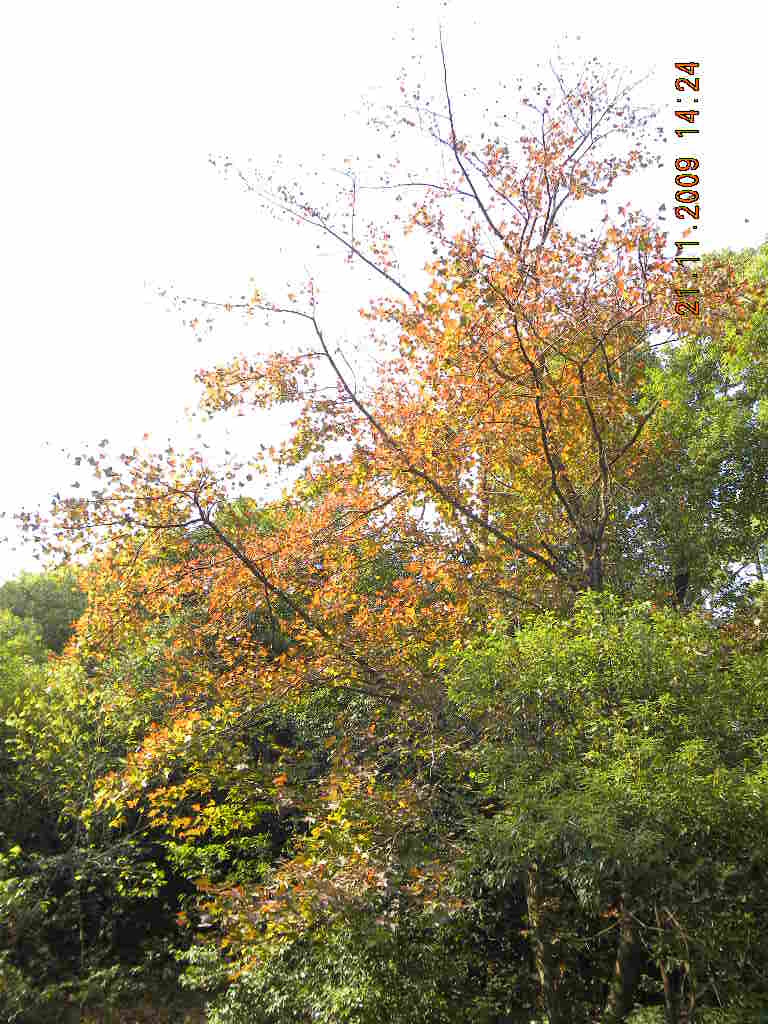 ��Ƭ 058.jpg