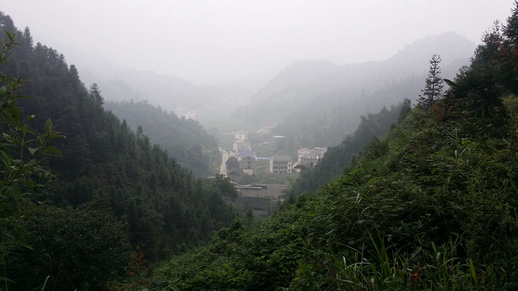 20140727_085719.jpg