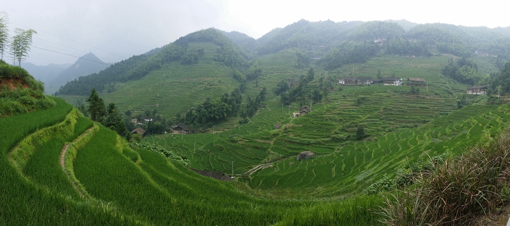 20140727_141733.jpg