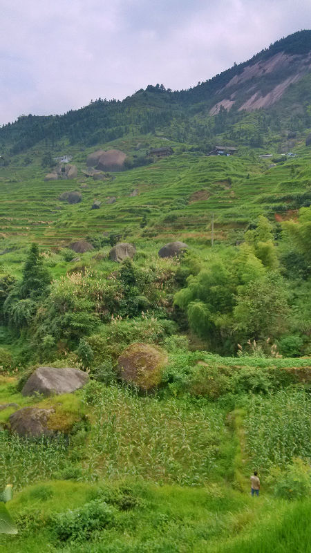 IMG_20140803_105404_HDR.jpg