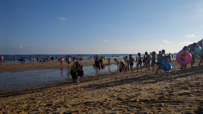 IMG_20140824_174542.jpg