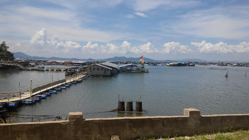 IMG_20140825_135730.jpg
