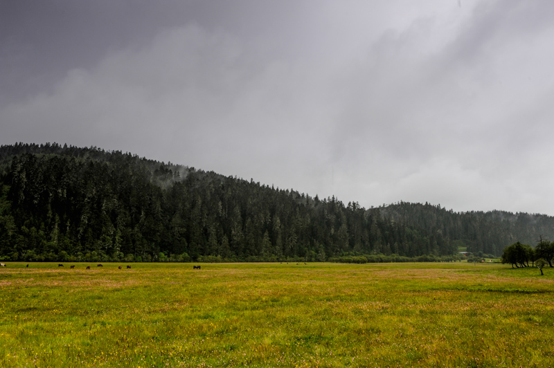20140829-_DSC2451.jpg