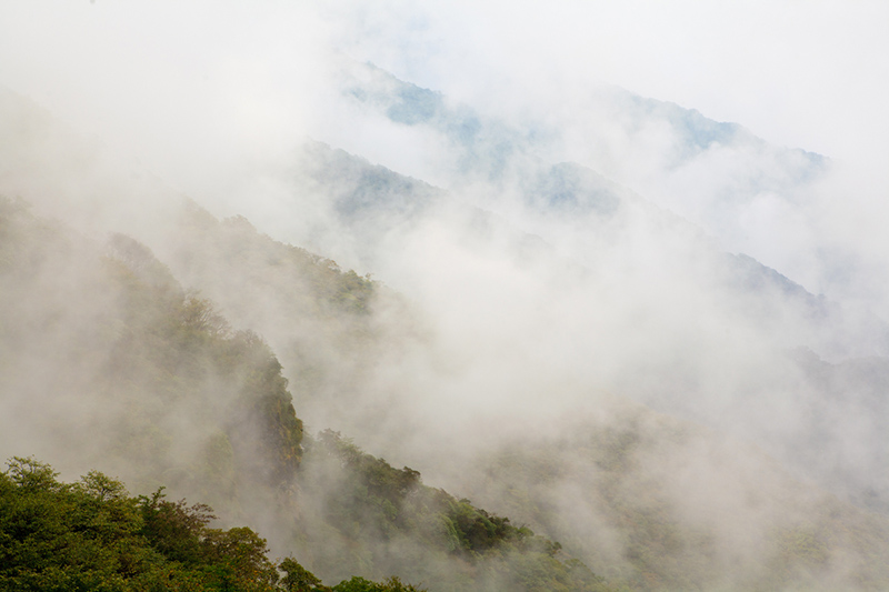 _MG_0217.jpg