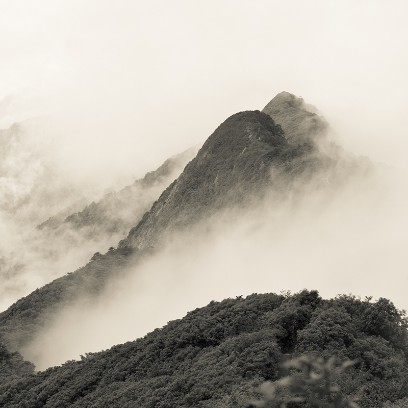 _MG_0375.jpg