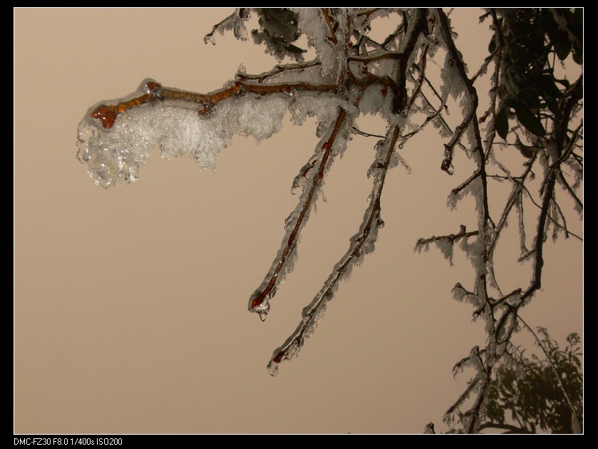 P1020620_��Ӱ_1.jpg