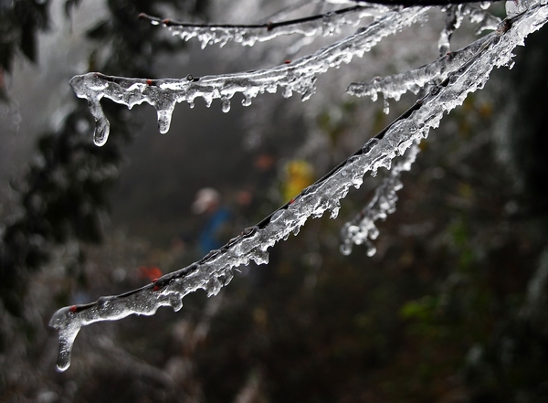 DSC_0065.jpg