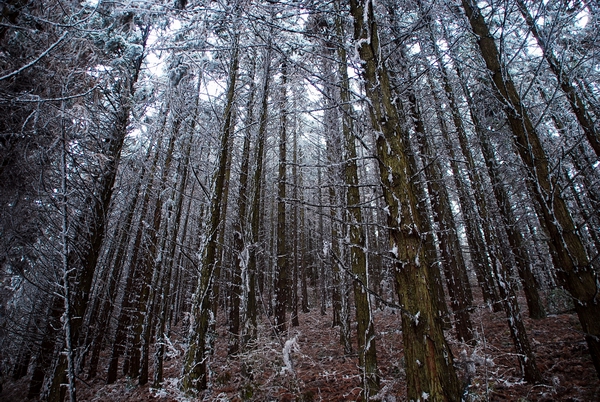 DSC_0104.jpg