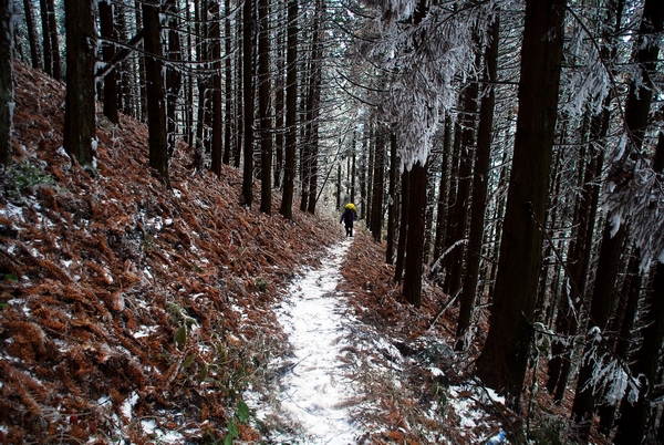 DSC_0106.jpg