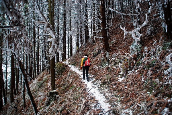 DSC_0108.jpg