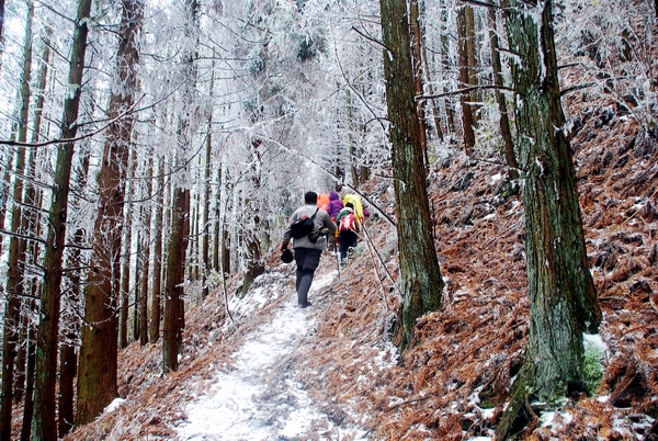 DSC_0119.jpg