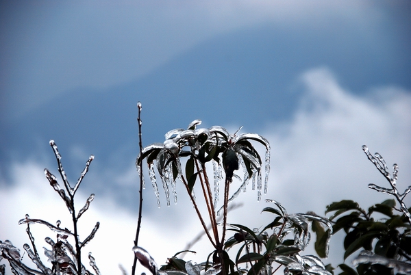 DSC_0133.jpg