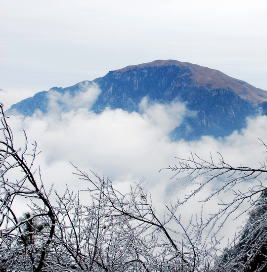 DSC_0157.jpg