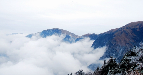 DSC_0169.jpg