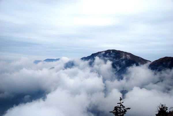 DSC_0184.jpg