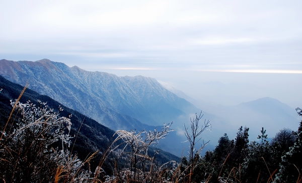 DSC_0243.jpg