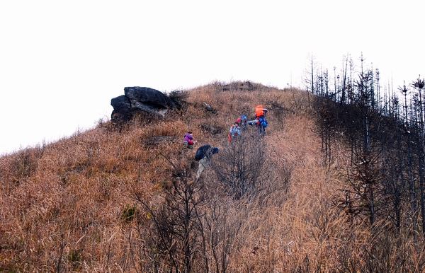 DSC_0254.jpg