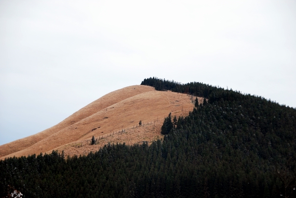 DSC_0292.jpg