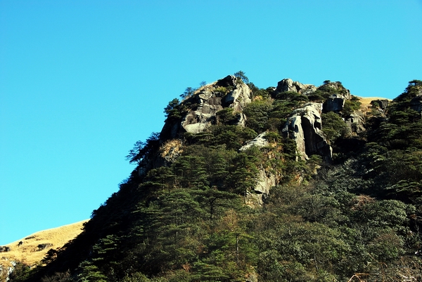 DSC_0722.jpg