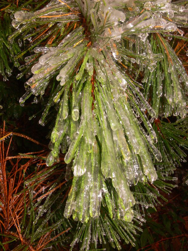 P1020670_��Ӱ_1.jpg