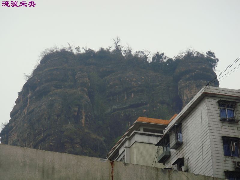 DSC01130.JPG