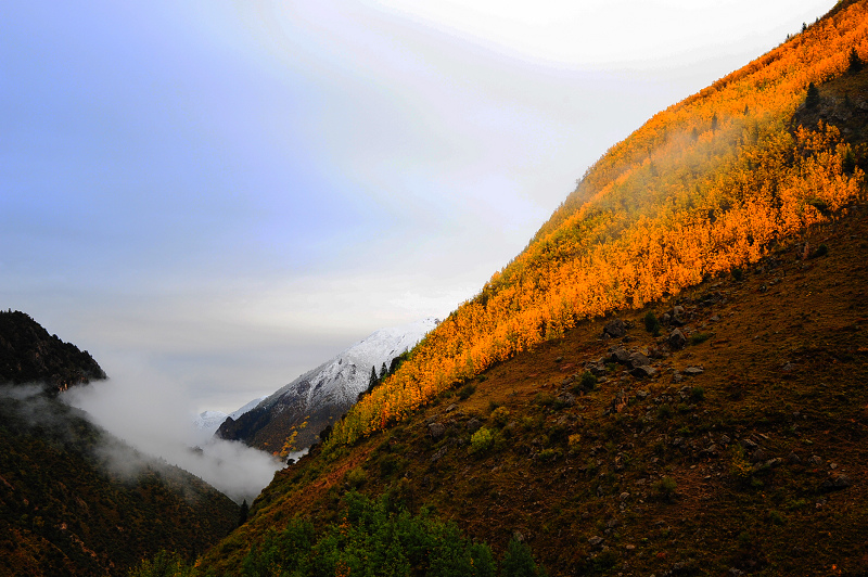 DSC_4540.JPG