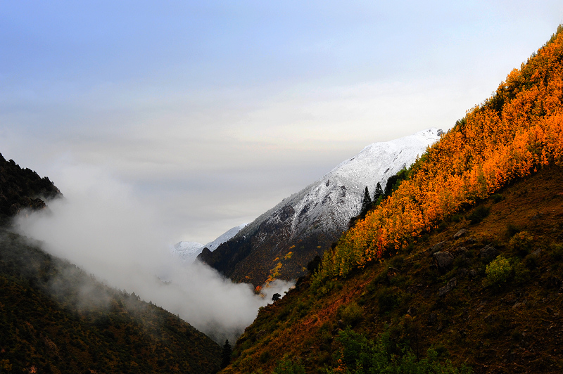 DSC_4543.JPG