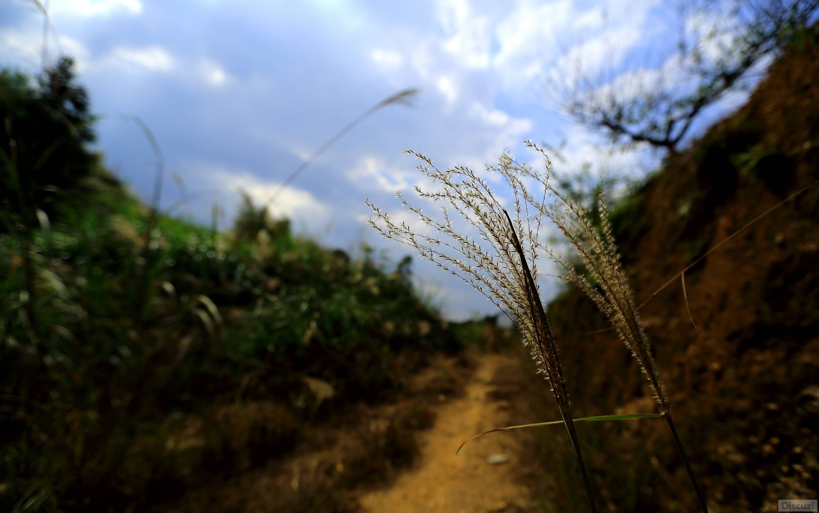 2014��·011.JPG