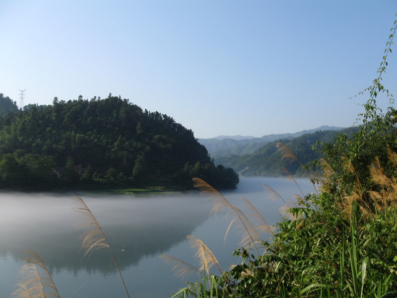 IMG_4655.JPG