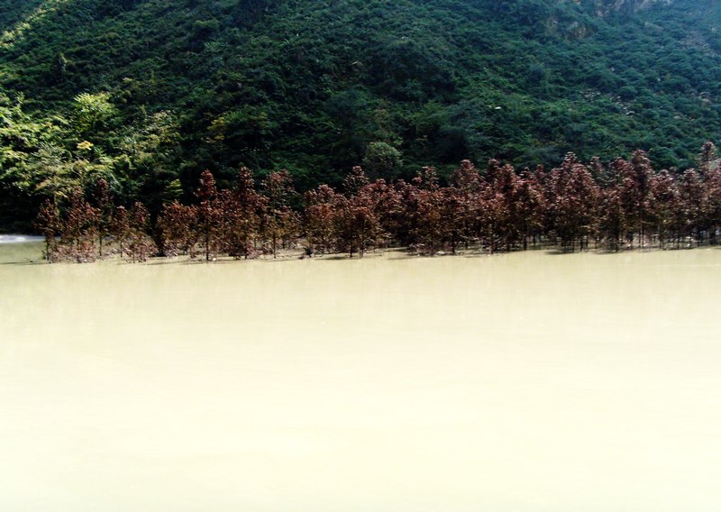 S73R0681.jpg