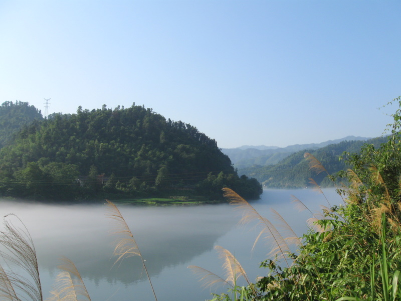 IMG_4657.JPG