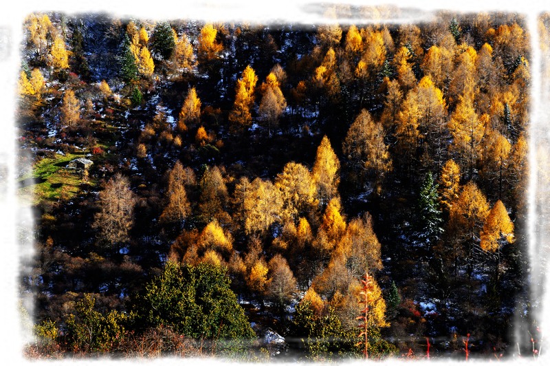 4����ɽ 876.jpg