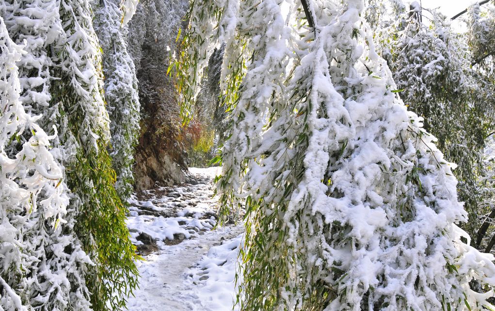 _DSC3097.jpg