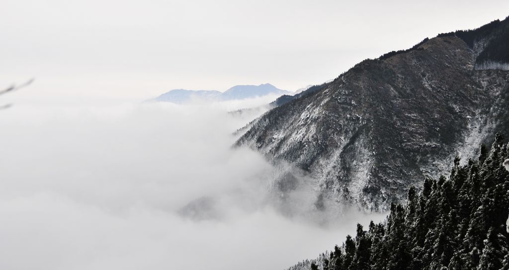 _DSC3247.jpg