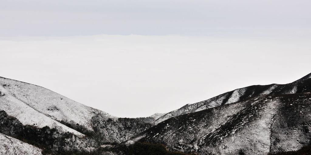 _DSC3270.jpg