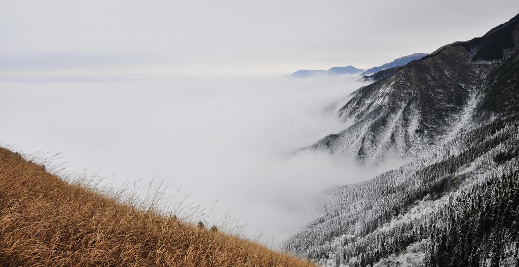_DSC3256.jpg