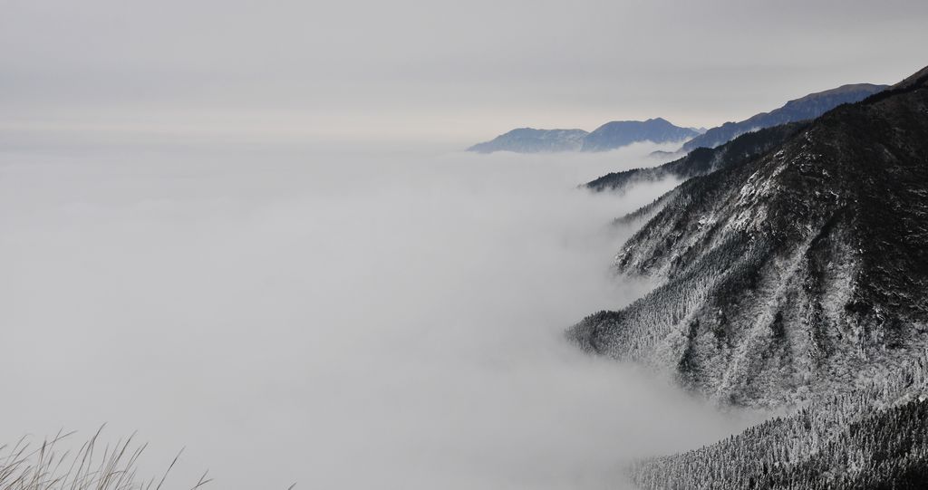 _DSC3263.jpg