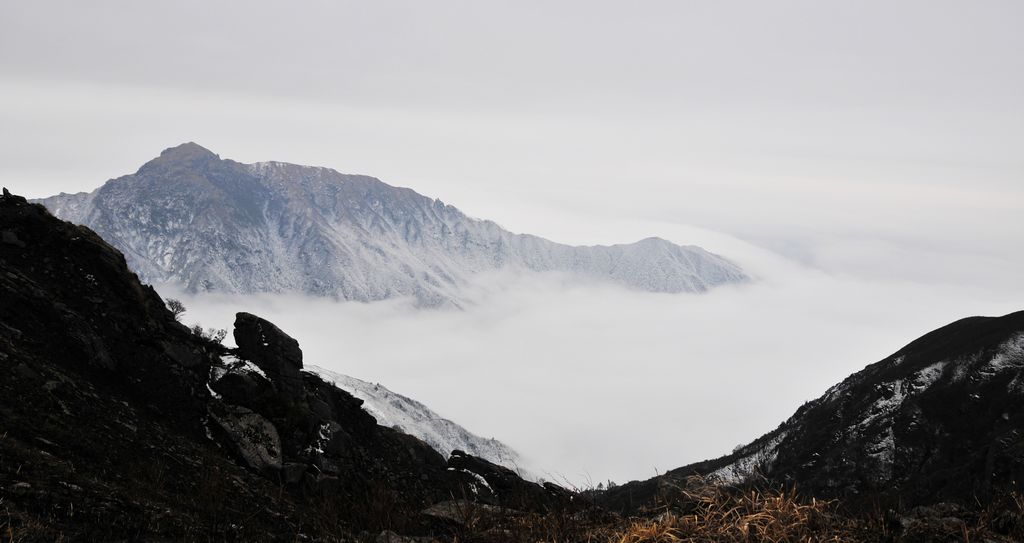 _DSC3328.jpg