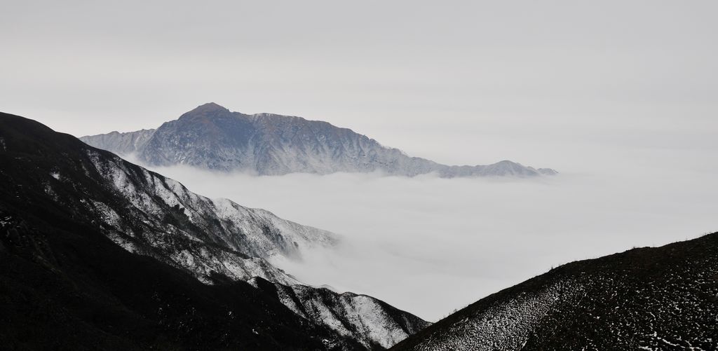 _DSC3305.jpg