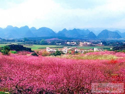 201102281632538574_s.jpg