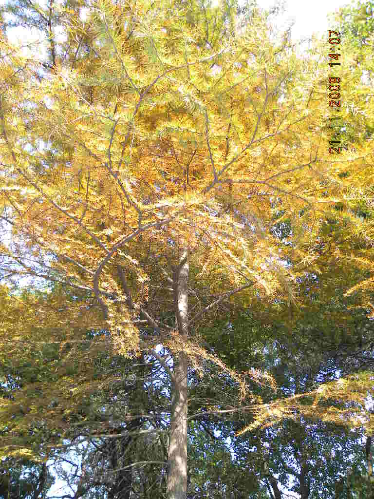��Ƭ 044.jpg