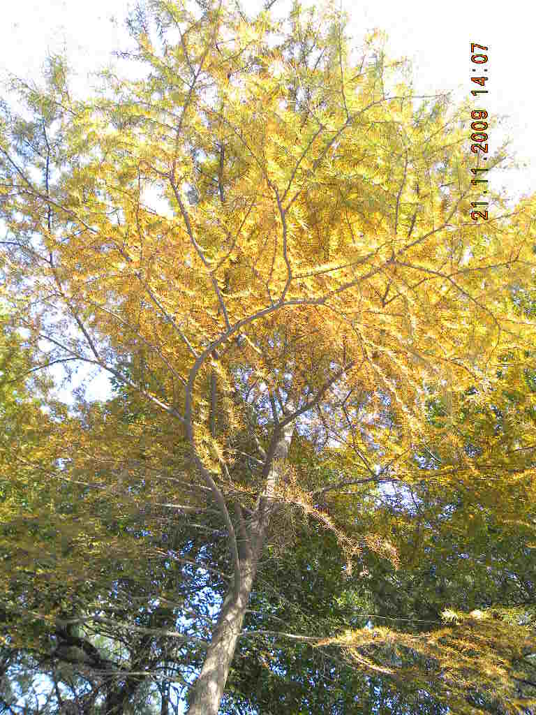 ��Ƭ 045.jpg