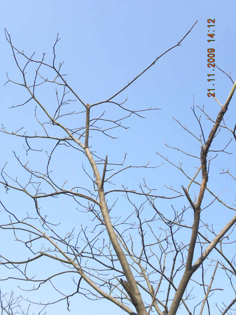 ��Ƭ 053.jpg