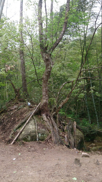 DSC_0231_1_������С.jpg